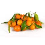 Mandarine à feuilles