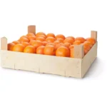 Orange à déguster